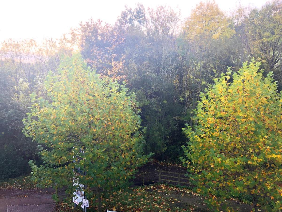 Parkside Penthouse Apartment Yeovil Bagian luar foto